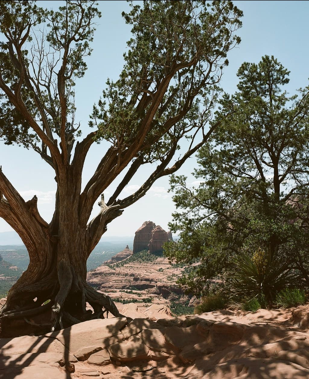 000669550002-edited (1)