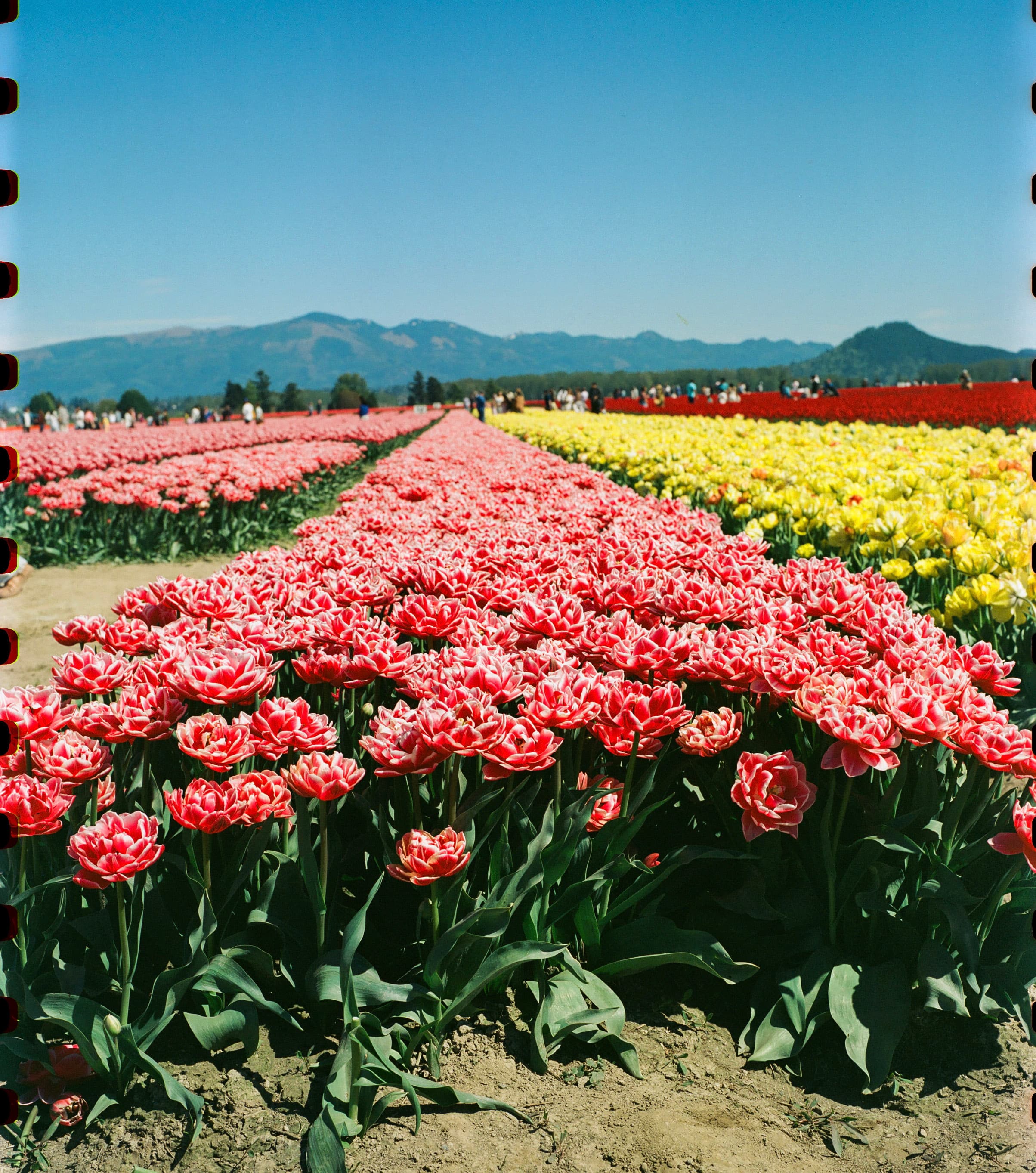 8385 0430 2025 2-004